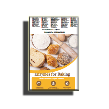 Brochure on baking enzymes production Angel Yeast (eng)