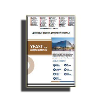 Brochure on yeast solutions for animal nutrition manufacturer Angel Yeast (eng)